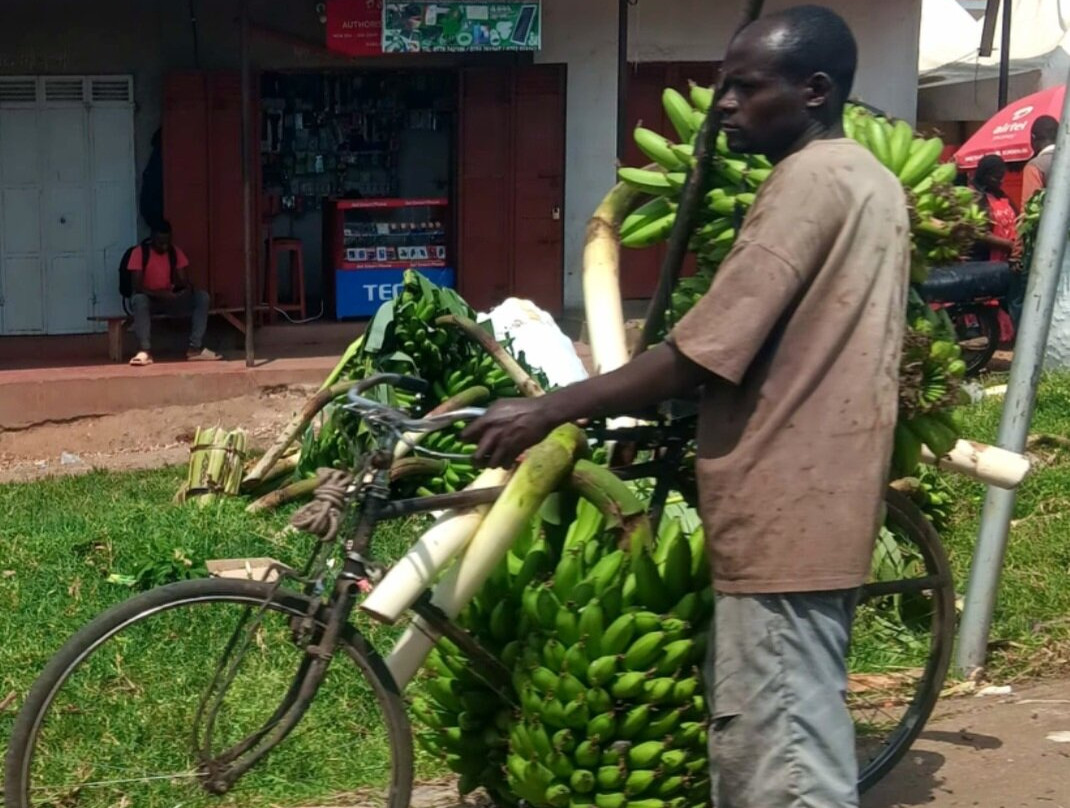 Gorilla Safaris Uganda Travel-坎帕拉必去景点