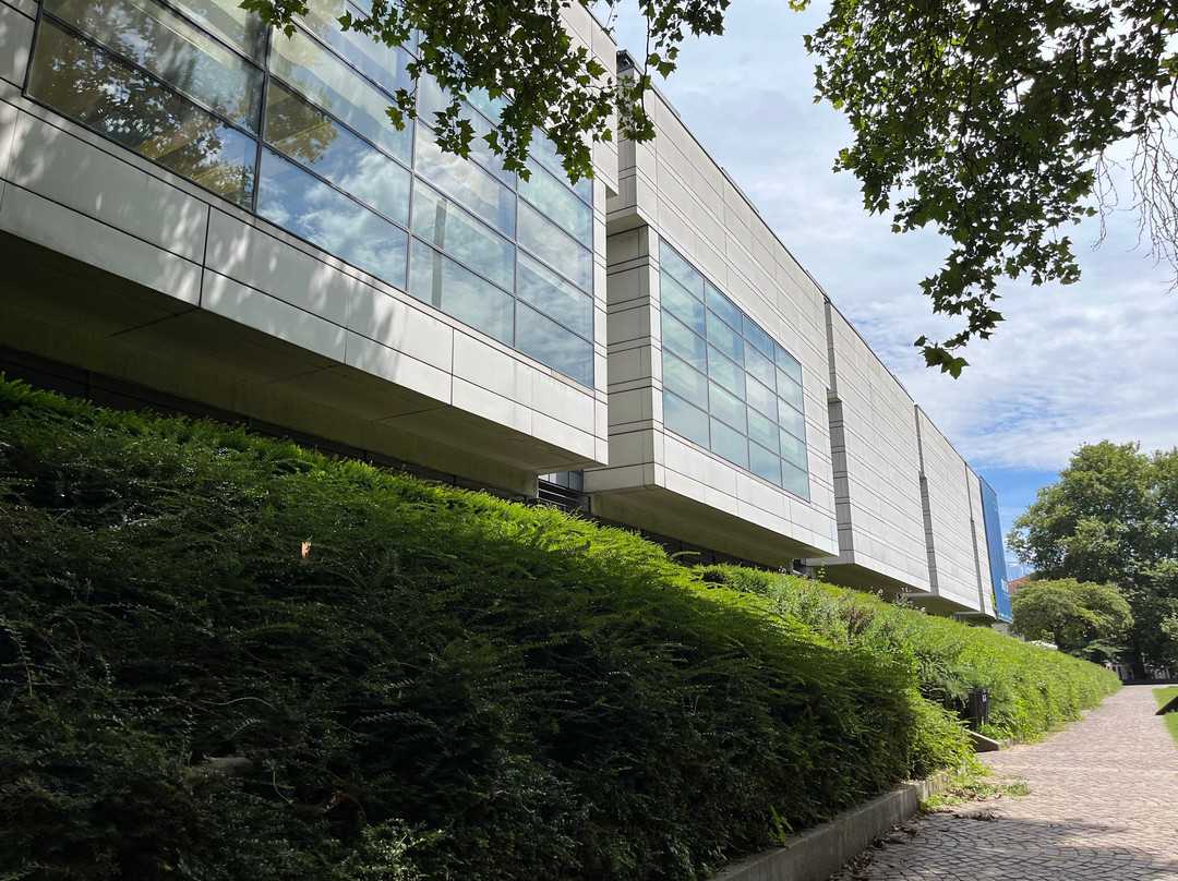 Musée de Grenoble景点图片