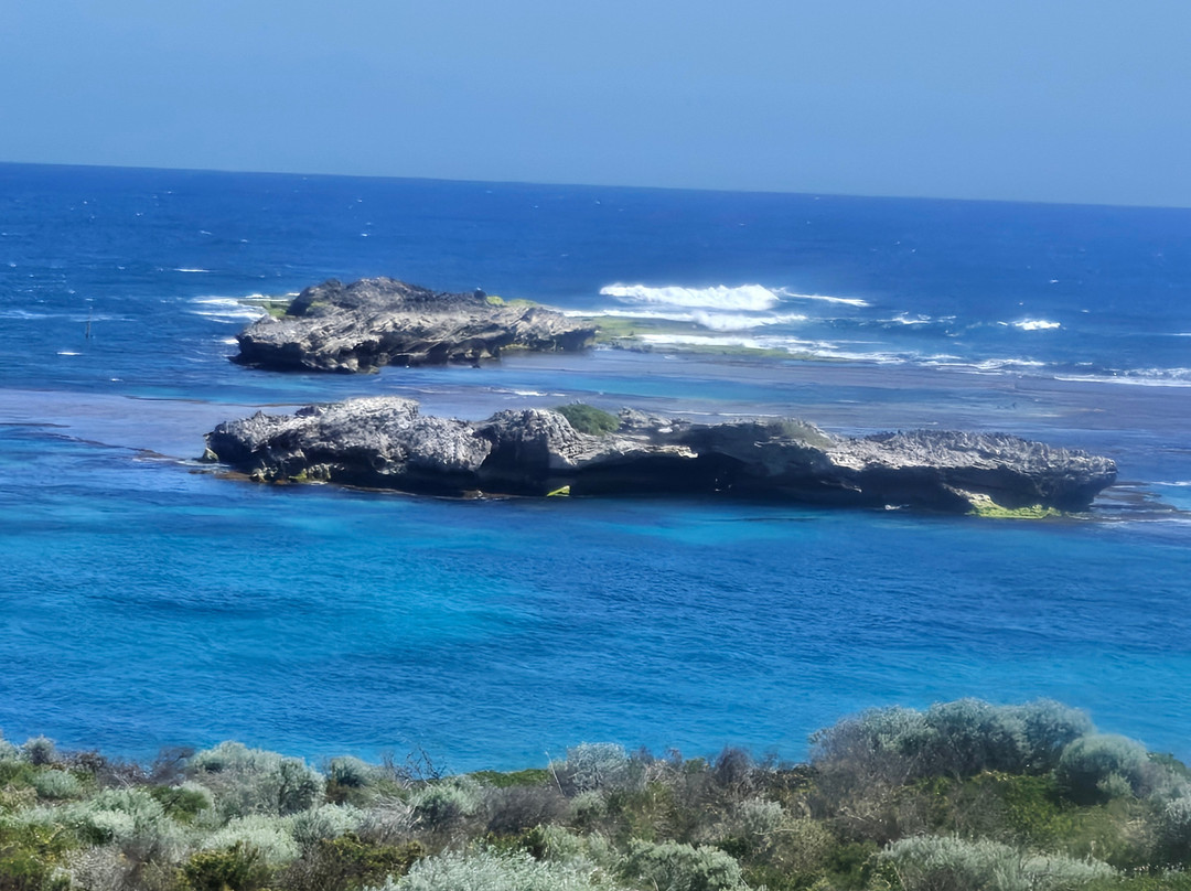 SeaLink Rottnest Island-弗里曼特尔必去景点