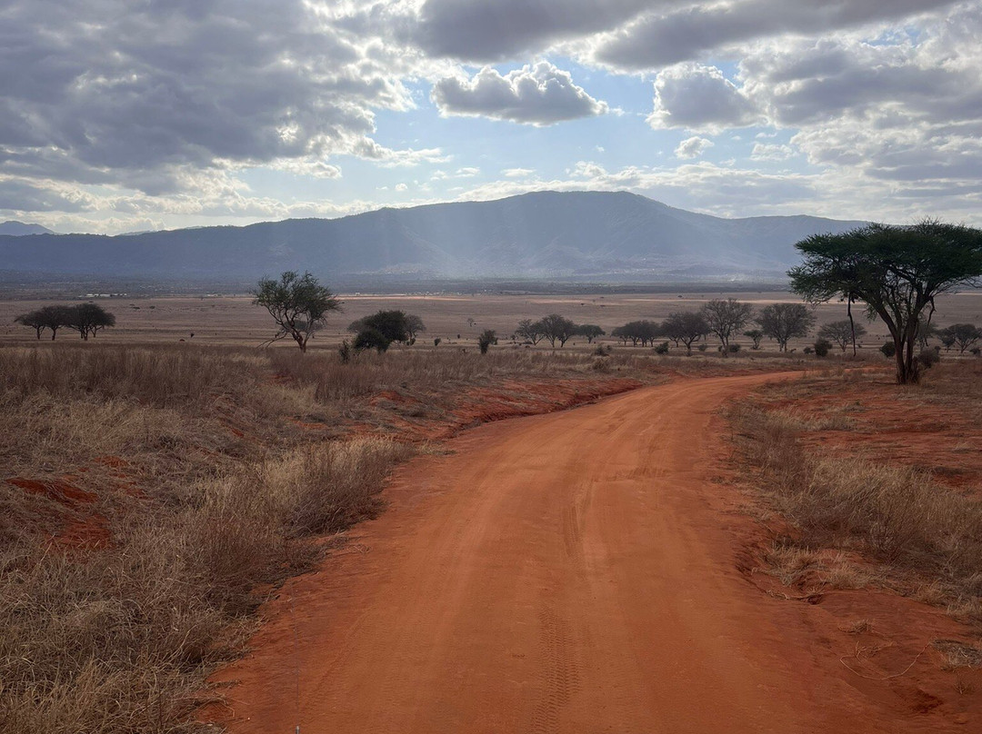Muka Tours and Safaris-马林地必去景点