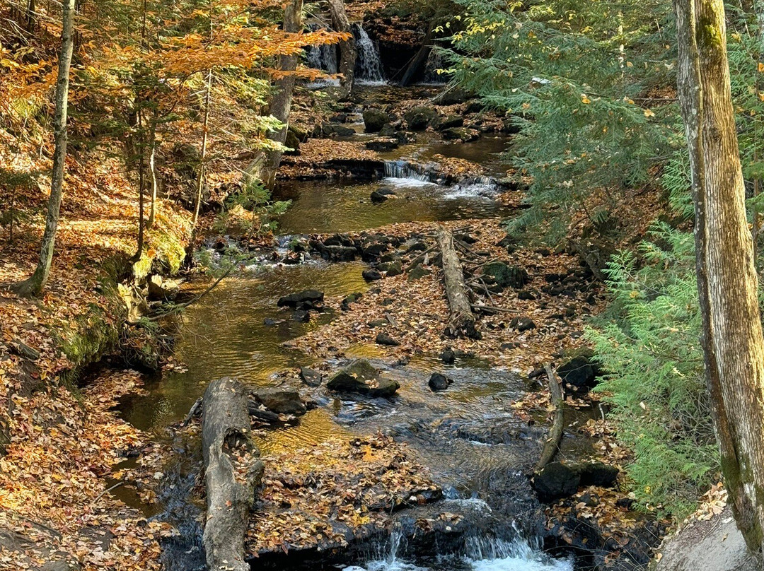 Chapel Falls-缪尼辛必去景点