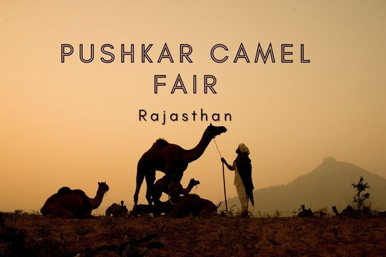 Pushkar Camel Fair-普希卡必去景点