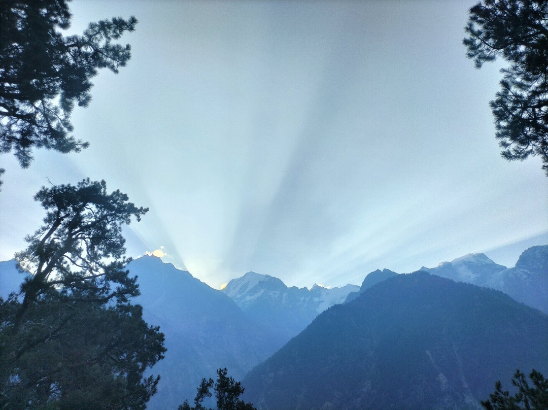 Wanderers Homestay主图