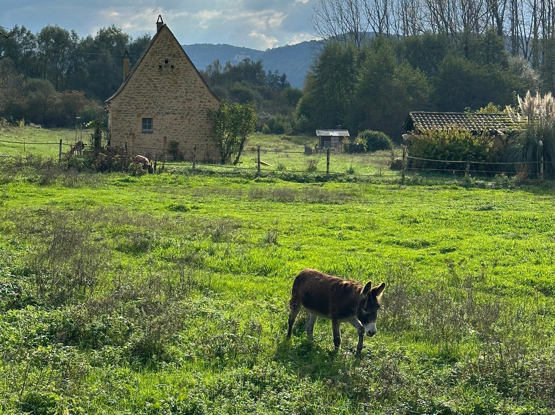Le Moulin du Trel景点图片