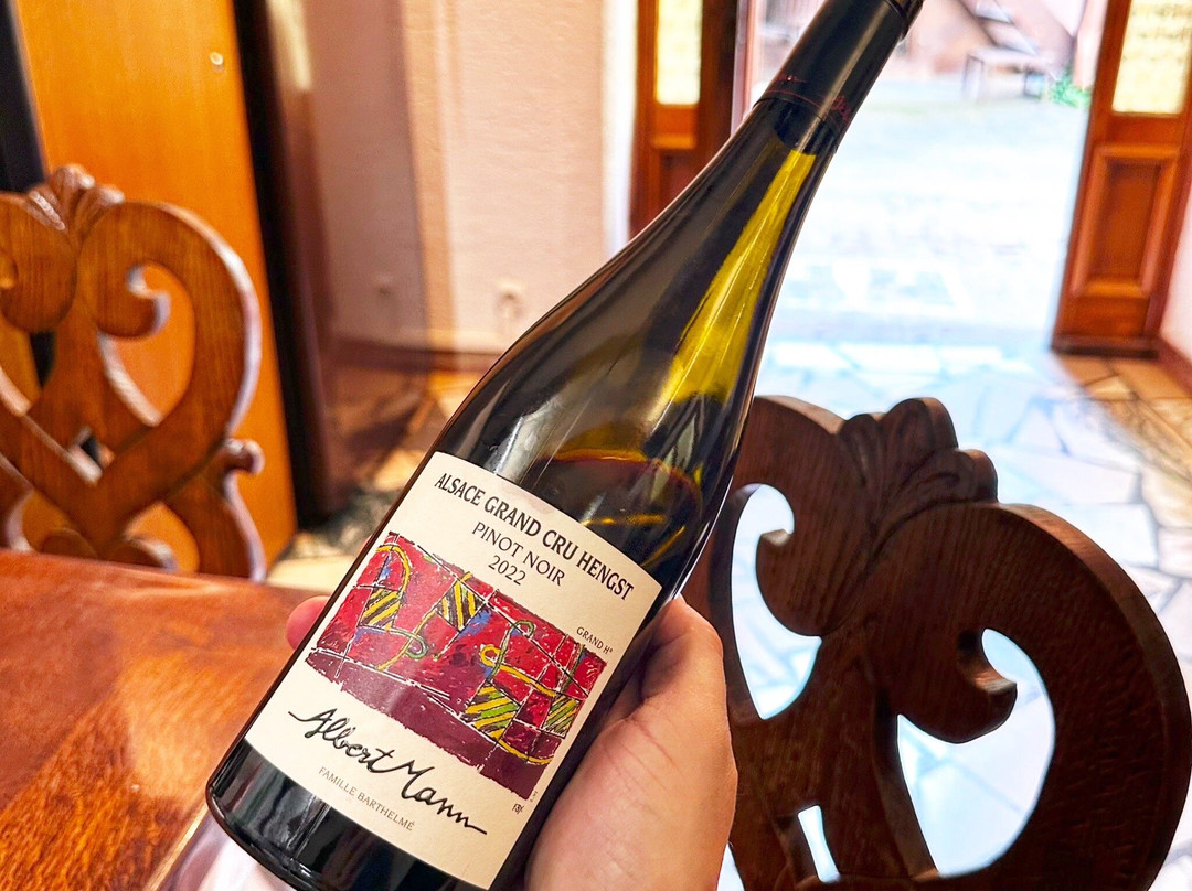 Domaine Albert Mann景点图片