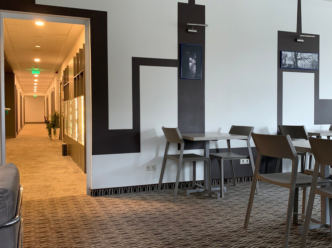 考纳斯城市酒店主图