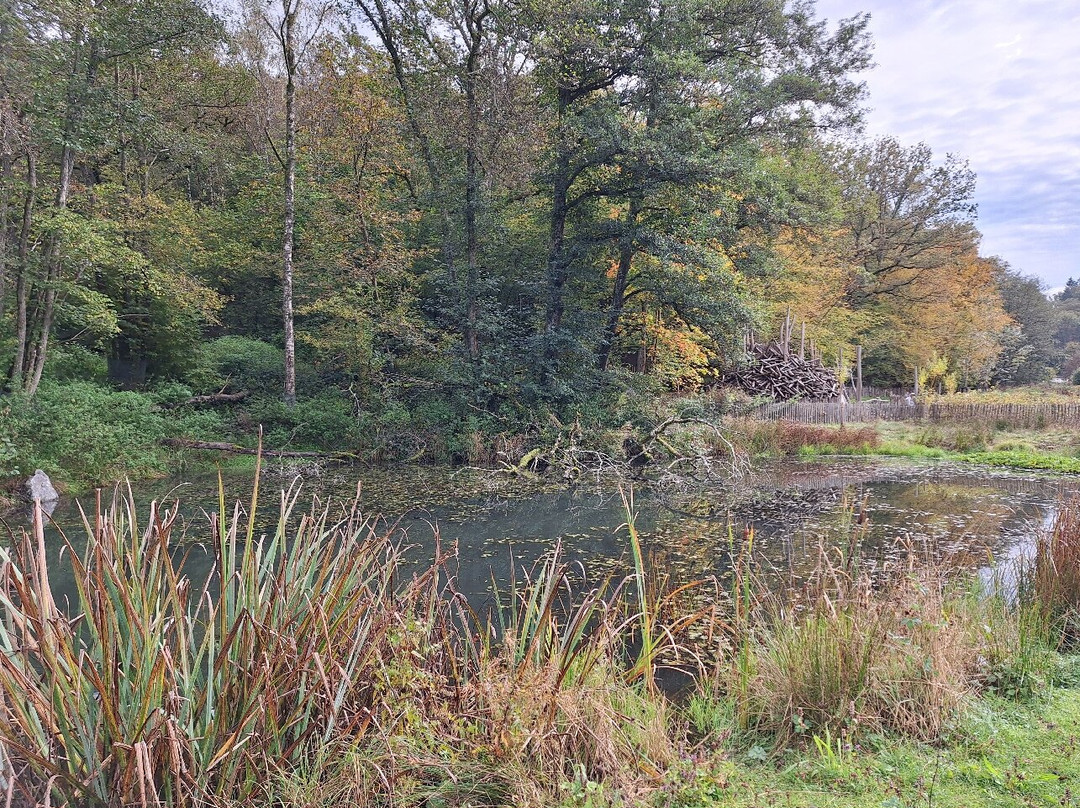 Domaine Provincial de Chevetogne景点图片