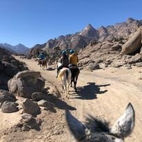 Equestrian Dream Egypt-赫尔格达必去景点