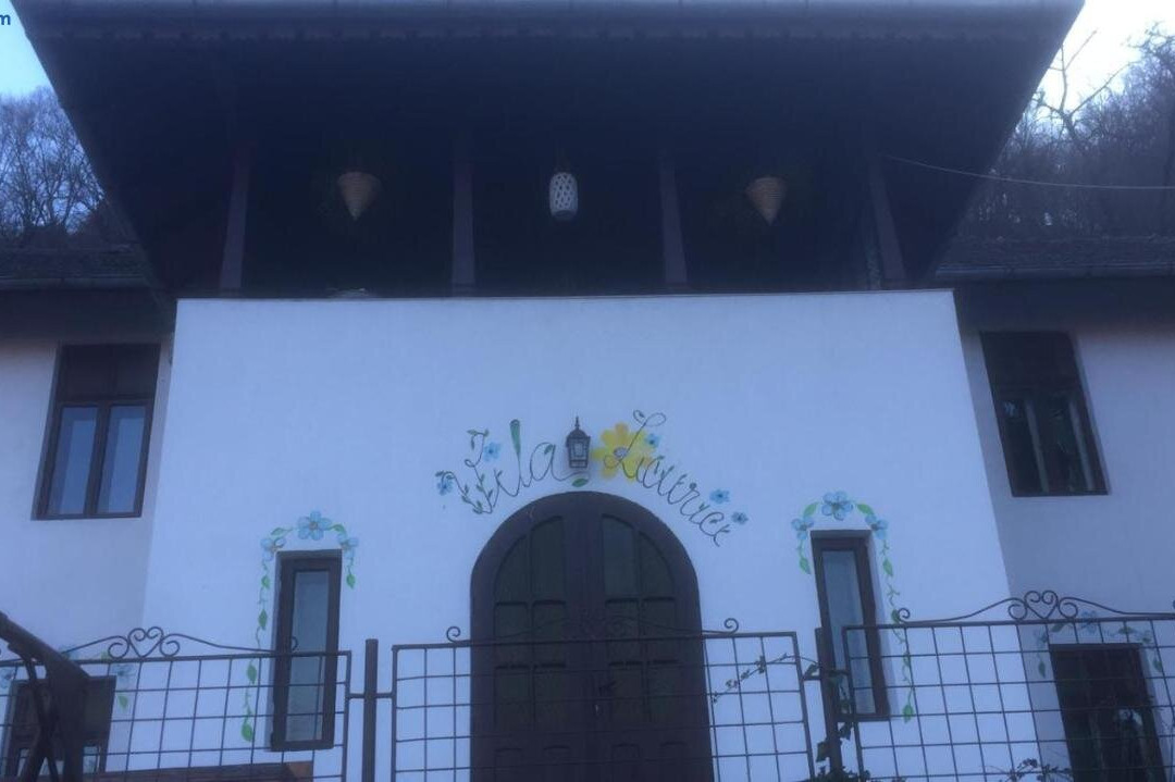 Vila Licurici