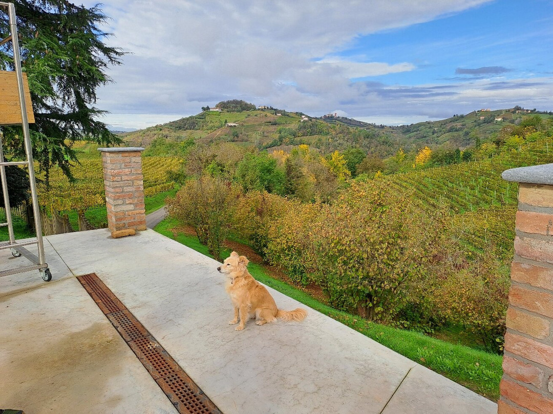 Tojo Winery景点图片