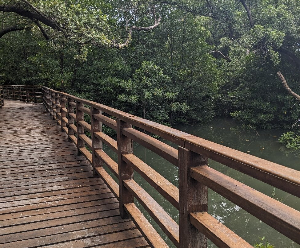 Sky Tower View Point-罗勇必去景点