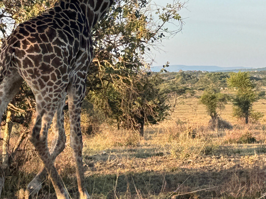 3 Wonders Expeditions-阿鲁沙必去景点