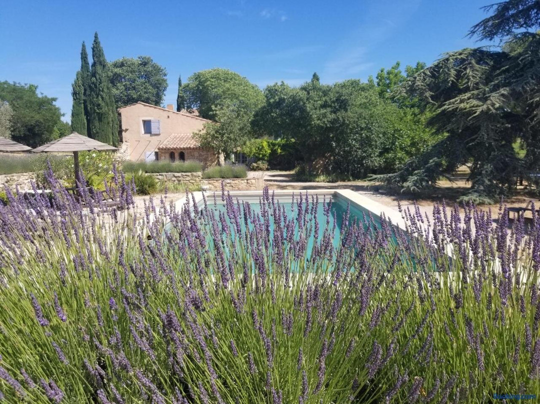 Domaine Du Coffre