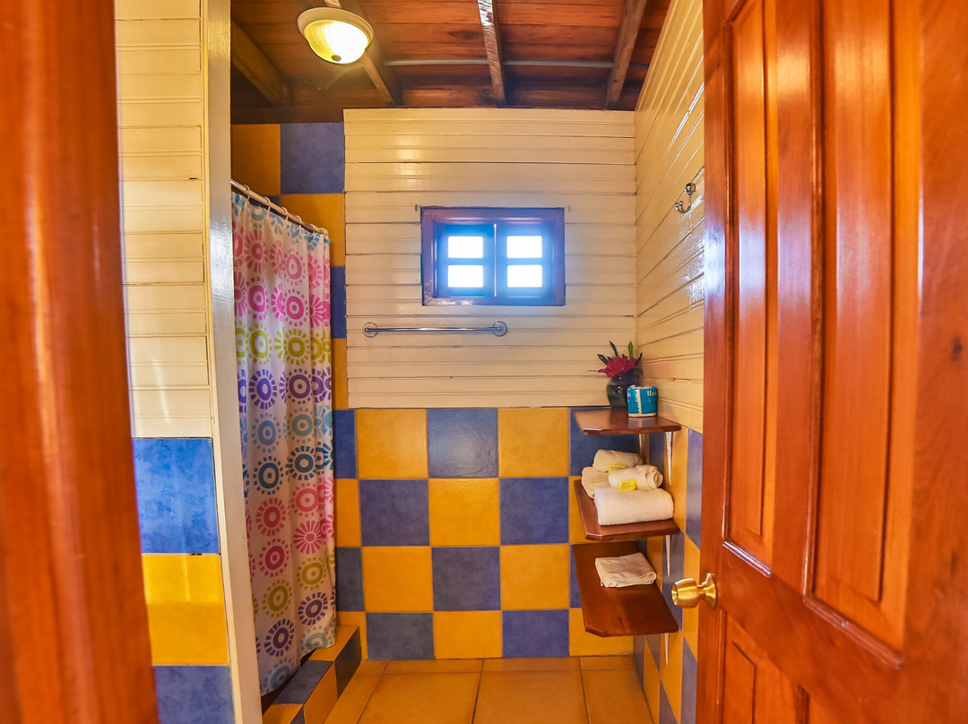 Koko Over The Water主图