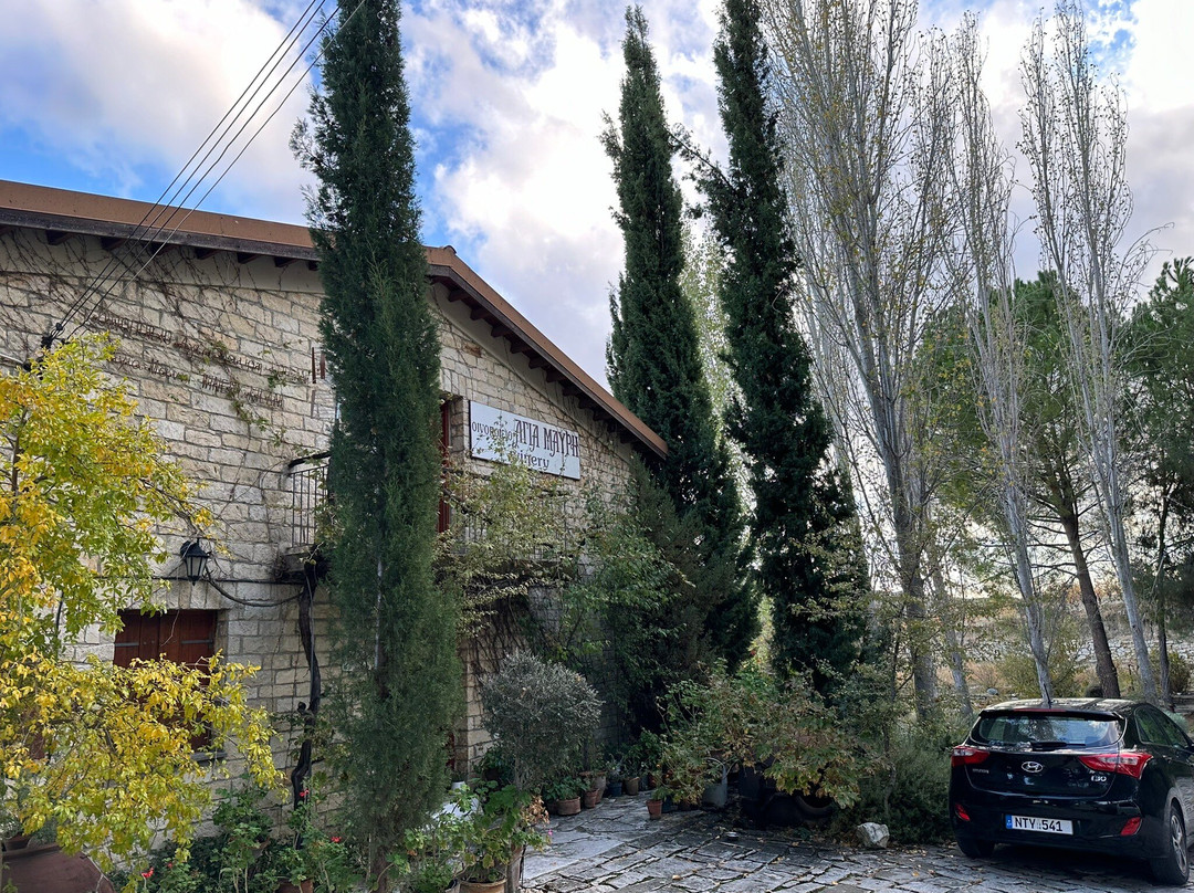 Ayia Mavri Winery-Koilani必去景点