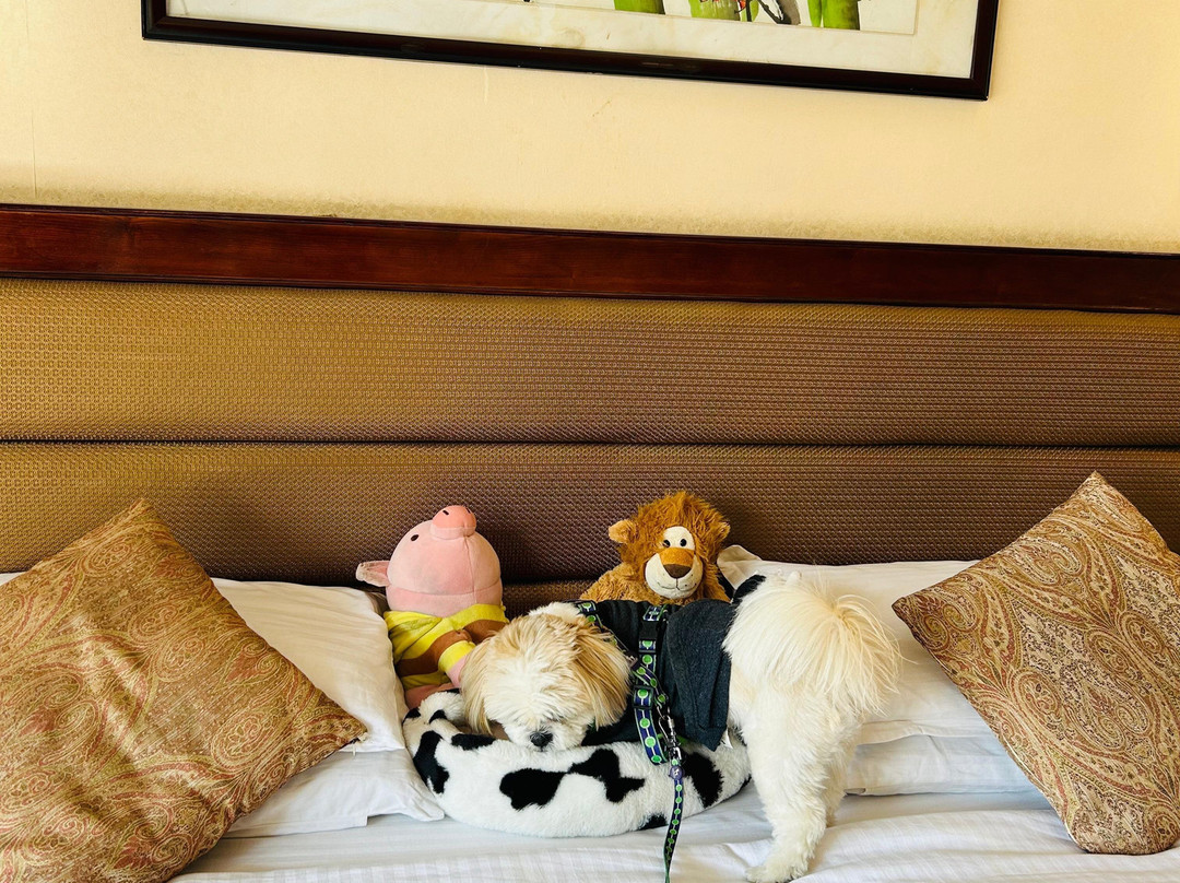 East Bourne Resort & Spa主图