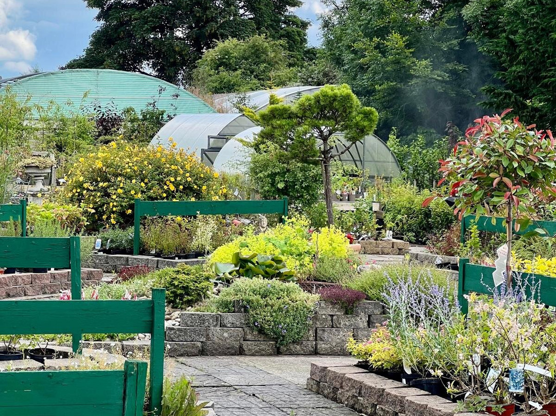 Longford Garden Centre-Longford必去景点