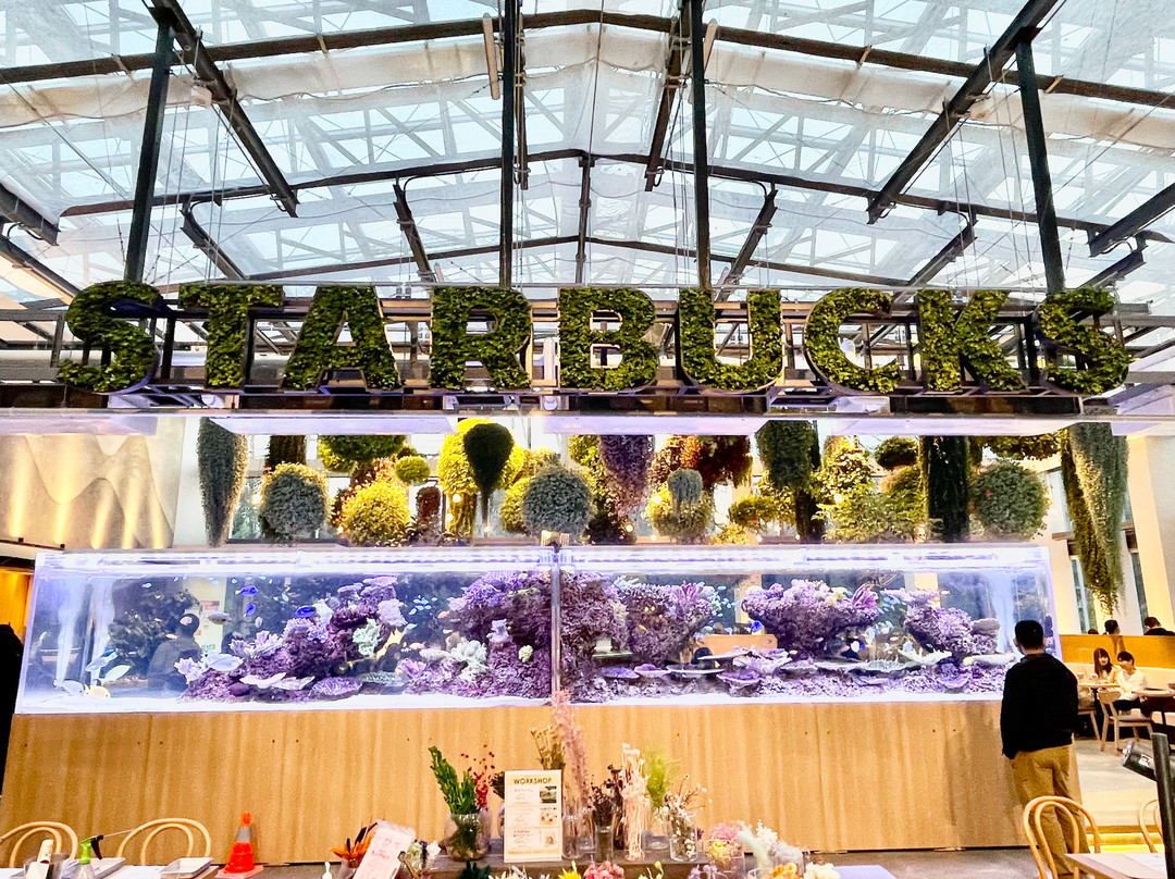 Hana Biyori-稻城市必去景点