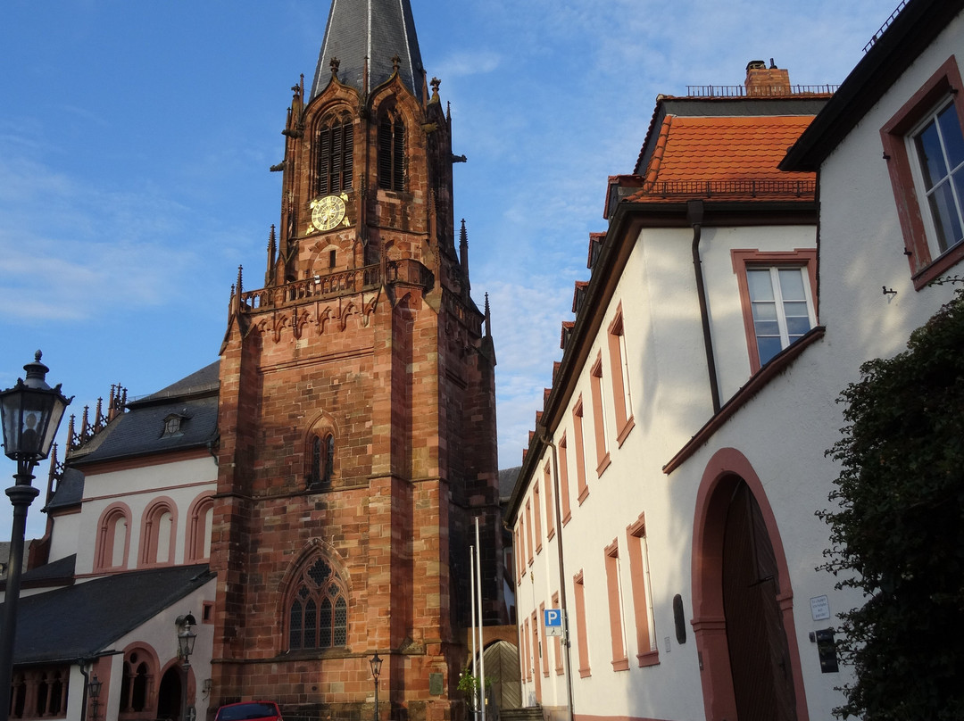 Stiftsbasilika St. Peter und Alexander景点图片