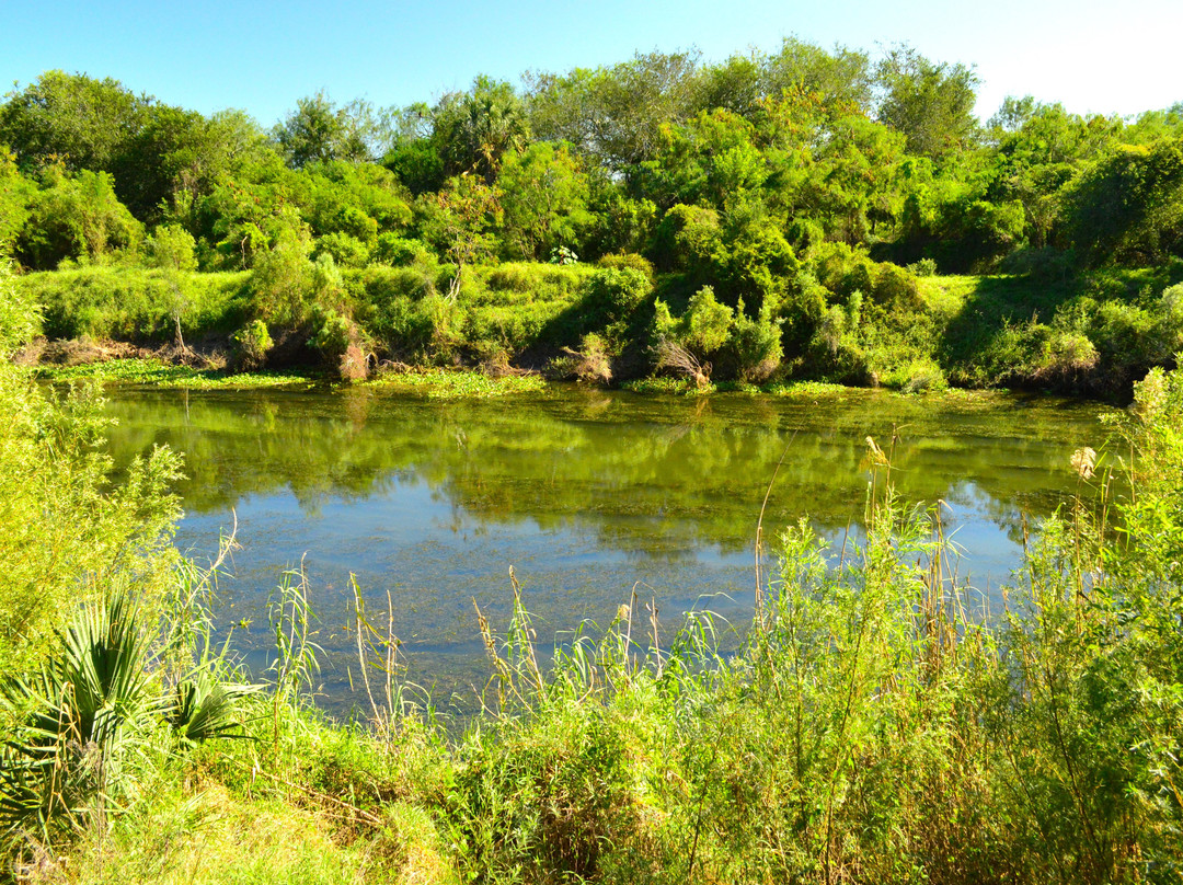 Sabal Palm Sanctuary-布朗斯维尔必去景点