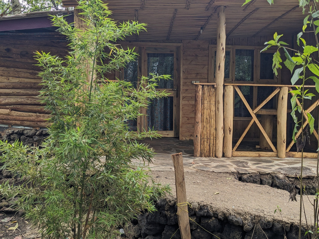 Volcanoes Forest Camp主图