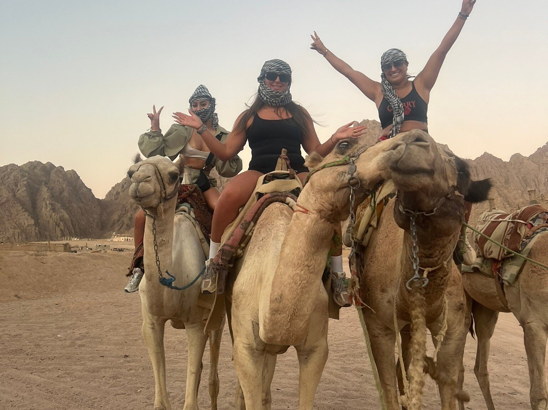 Jasmine Tours-沙姆沙伊赫必去景点