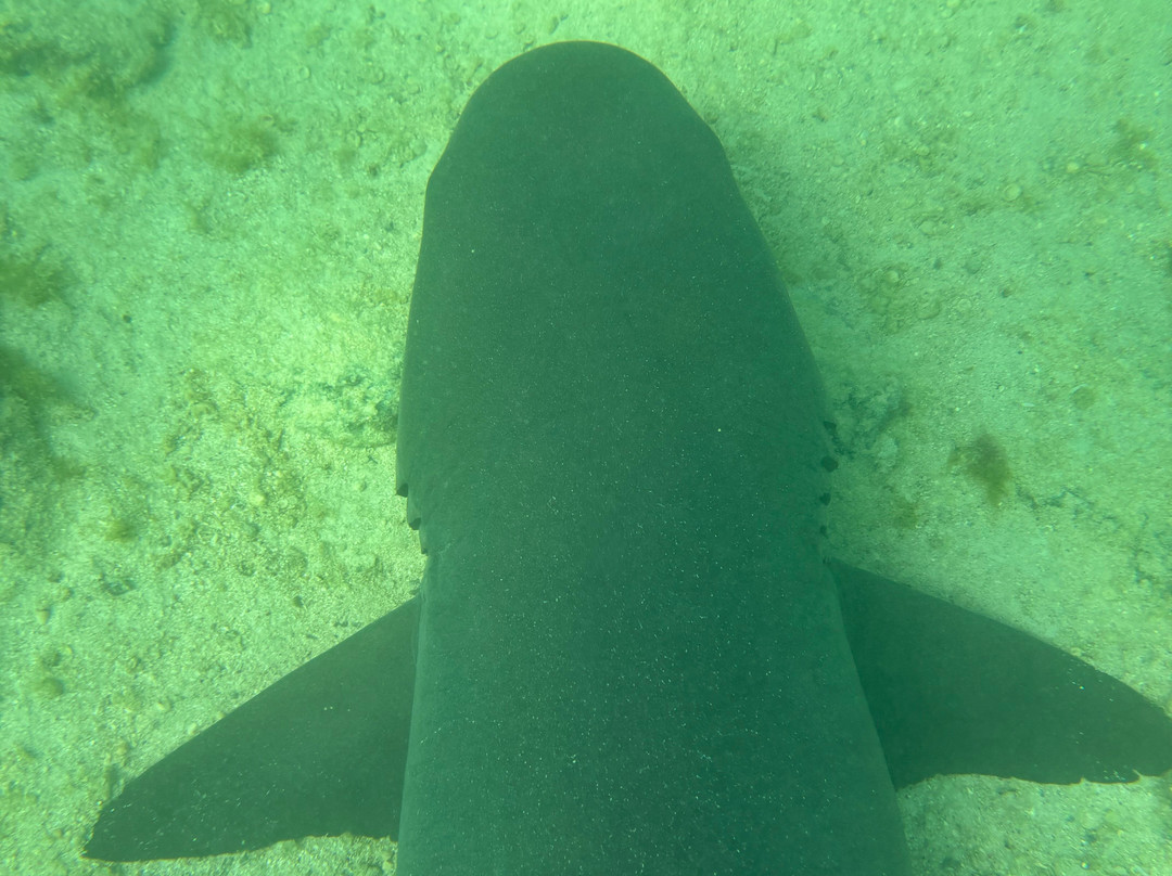 Islanders Galapagos Tour Agency and Operator-Puerto Baquerizo Moreno必去景点