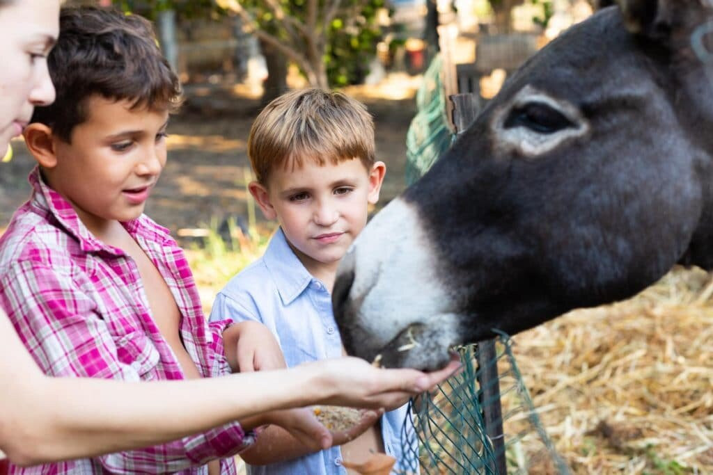 Farm to Table - Halbrecht Farm Food Garden-Kfar Vitkin必去景点