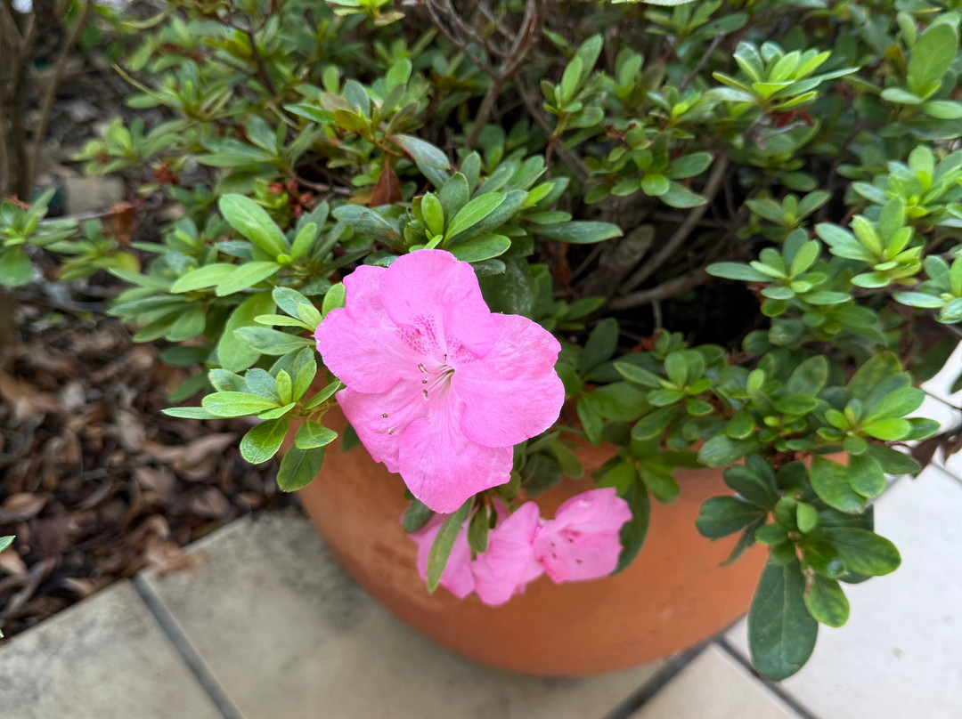 地平线旅馆主图