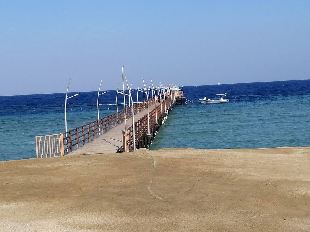 Molo Abu Dabbab-马萨阿拉姆必去景点