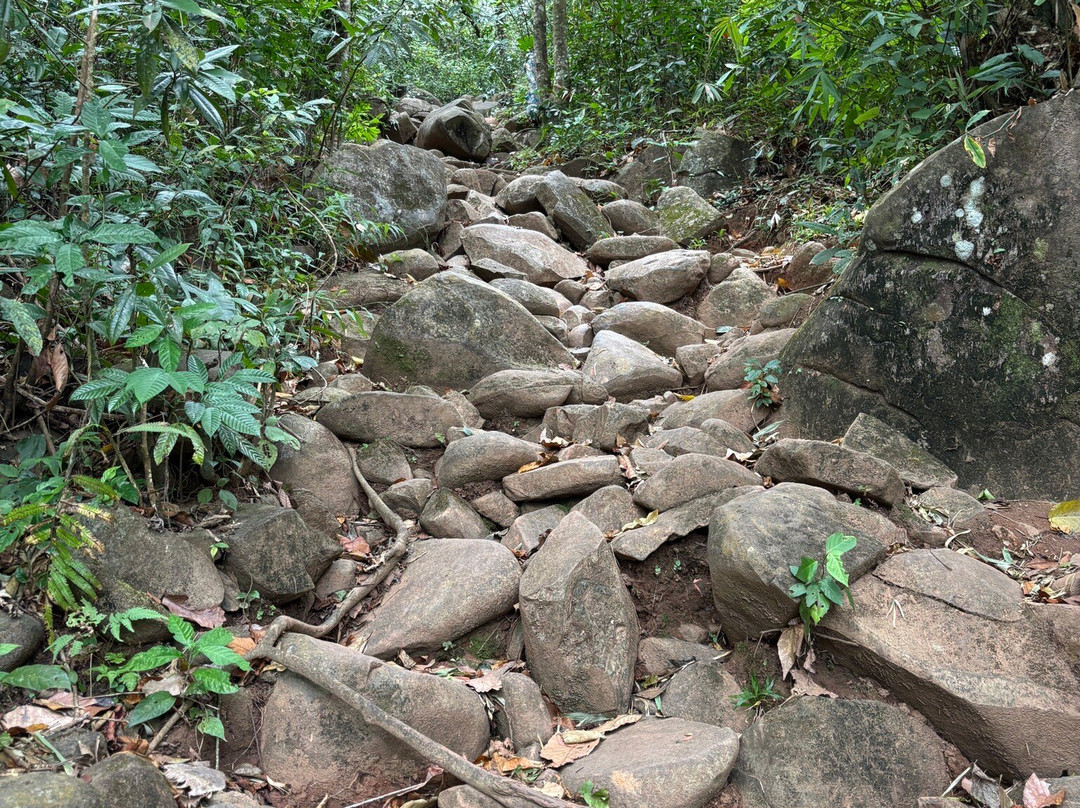 Black Virgin Mountain景点图片