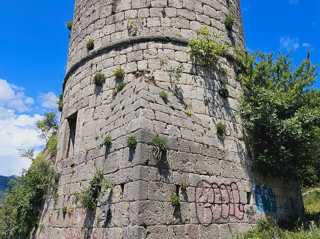 Brankovic Tower景点图片