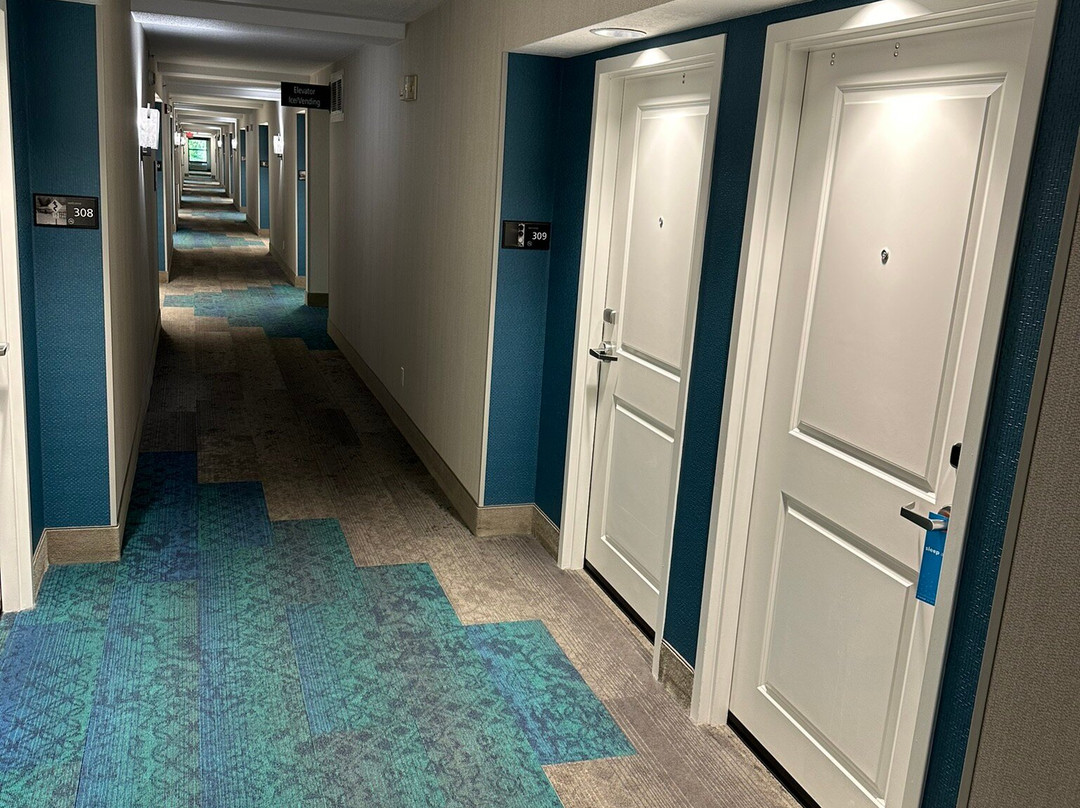 贾斯珀希尔顿恒庭酒店主图