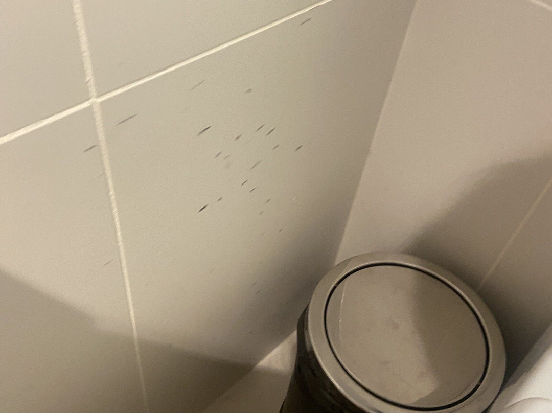 Sage Hotel Ringwood主图