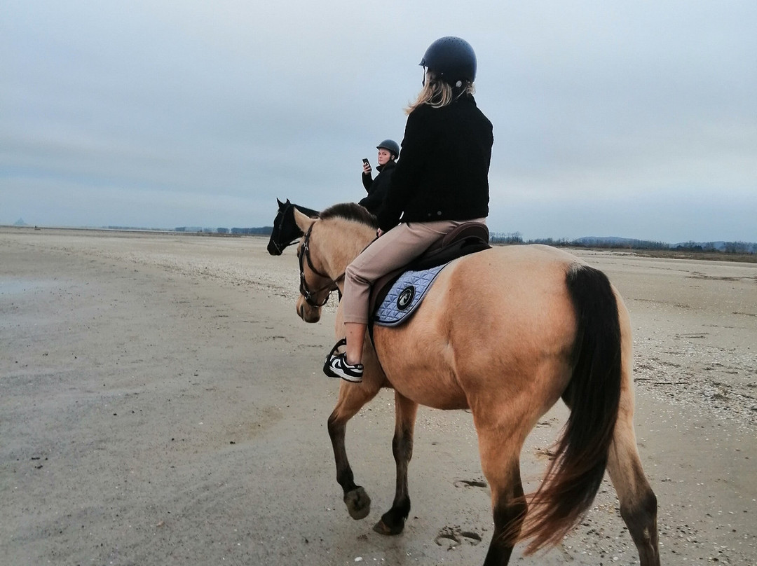Grand Galop Rennes景点图片