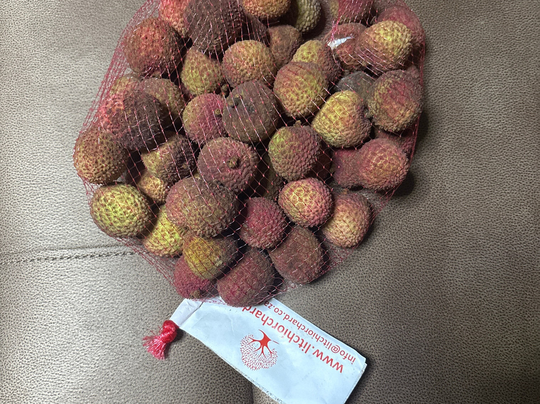 The Litchi Orchard-塩石必去景点