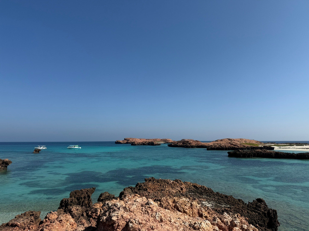 Daymaniyat Islands Nature Reserve-锡卜必去景点
