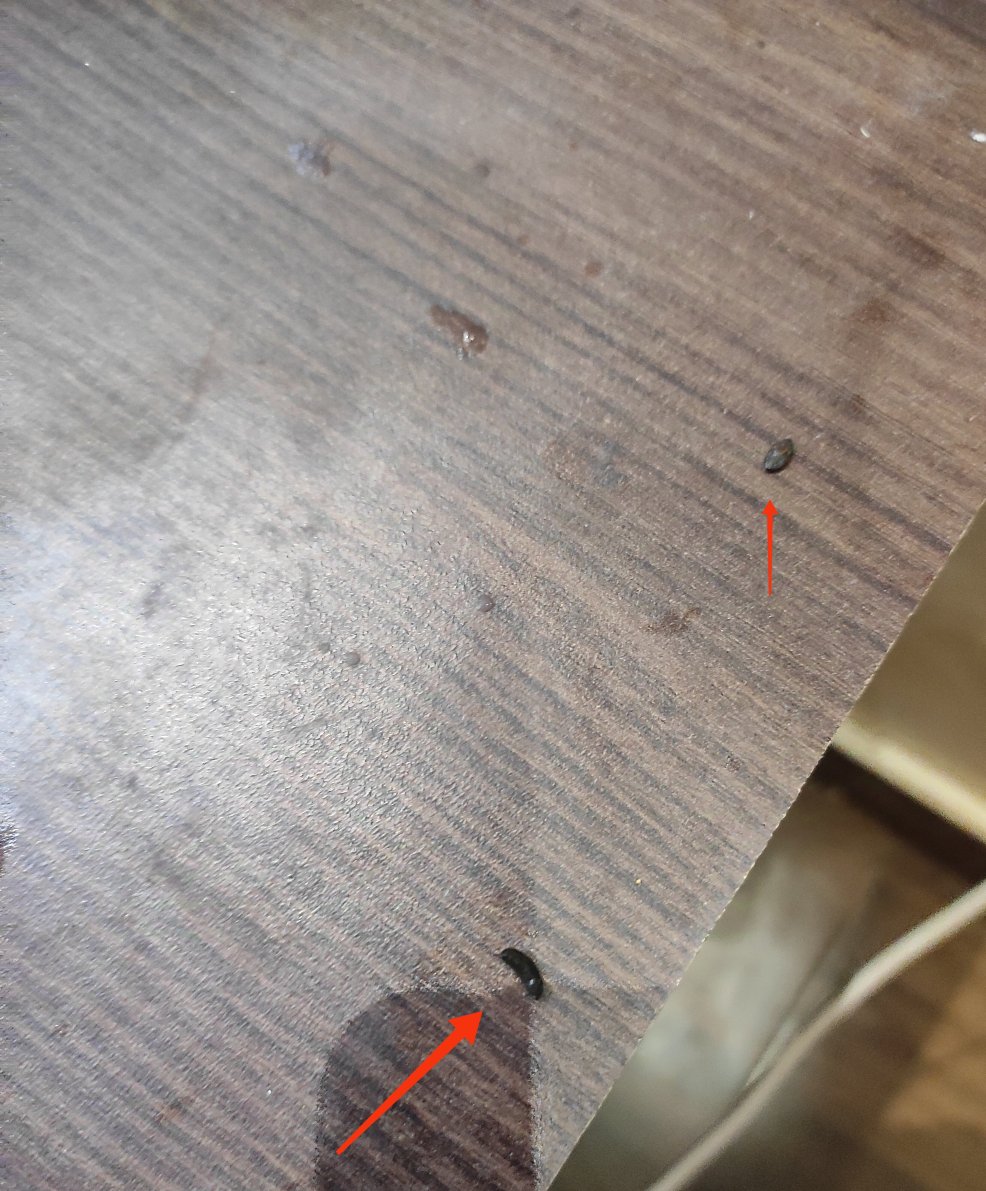 菠罗奈斯酒店-官方