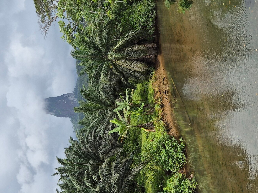 Pico Cão Grande景点图片