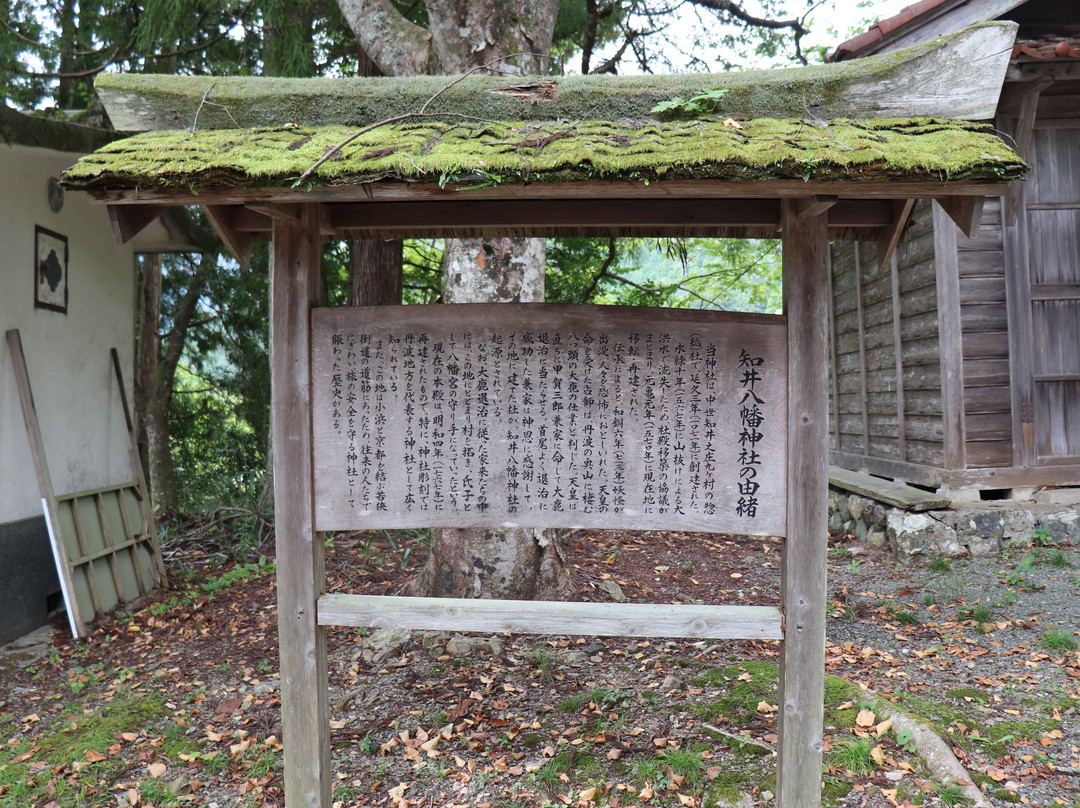 Chii Hachiman Shrine-南丹市必去景点