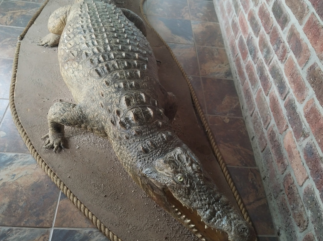 Thaba Kwena Crocodile Farm-尼斯特鲁姆必去景点