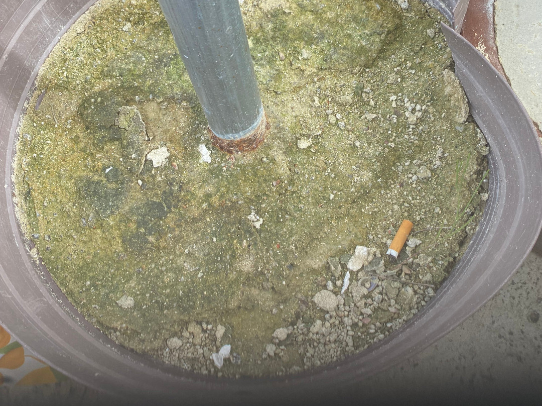 Vivo Beach Club-卡罗来纳必去景点