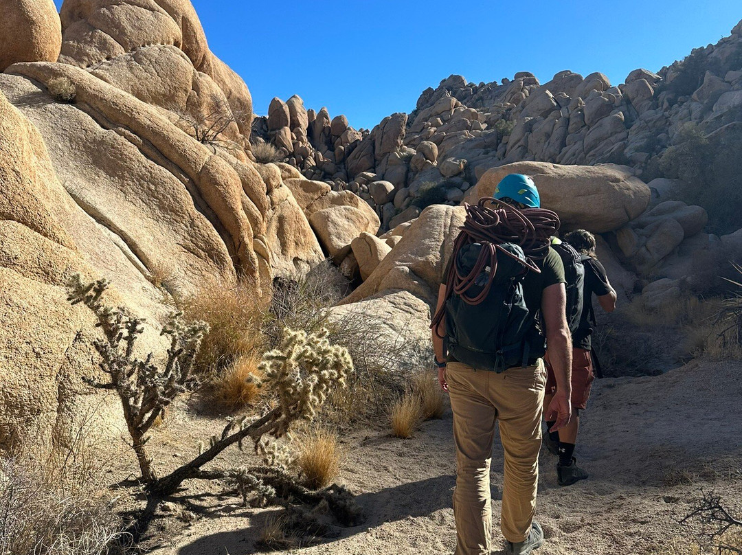 Cliffhanger Guides-约书亚树必去景点