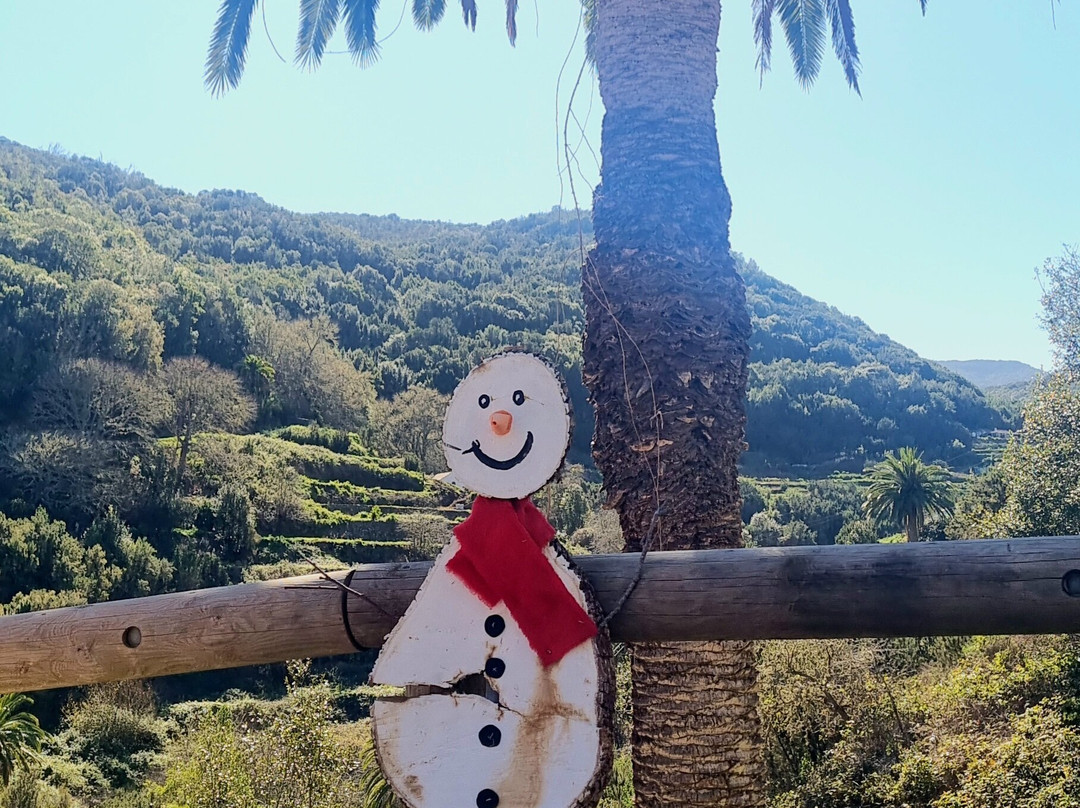 Melanie Ebock GOMERAGUIDE-La Gomera必去景点