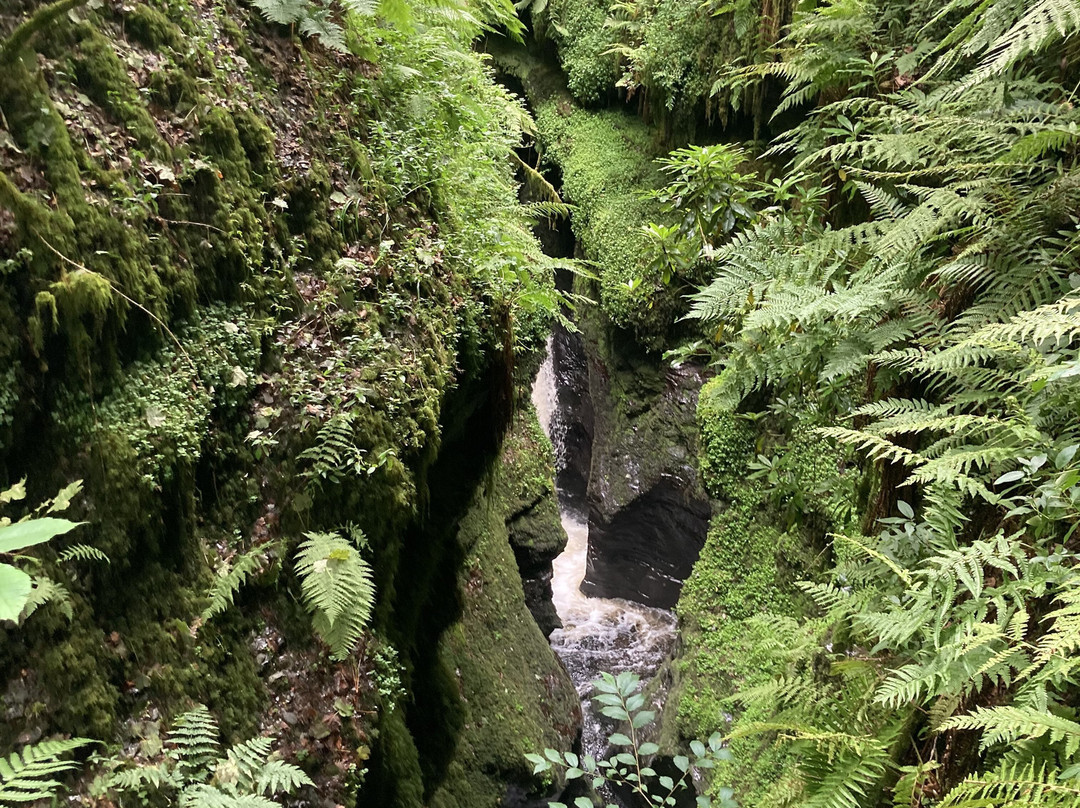 Lydford Gorge景点图片