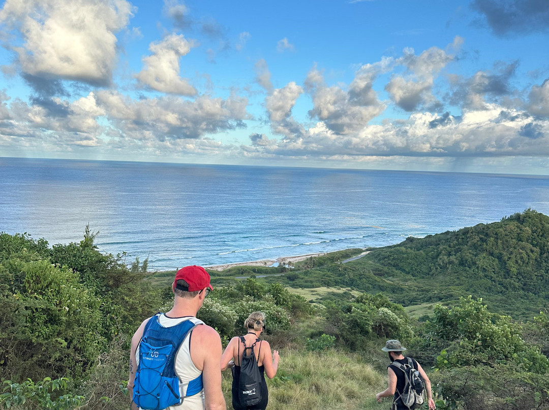Wild Barbados-Cattlewash必去景点