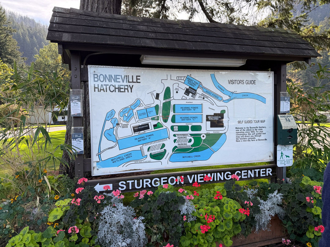 Bonneville Hatchery-Cascade Locks必去景点