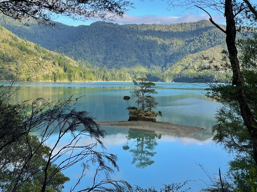 Pelorus Sound Water Taxi & Cruises-哈夫洛克必去景点