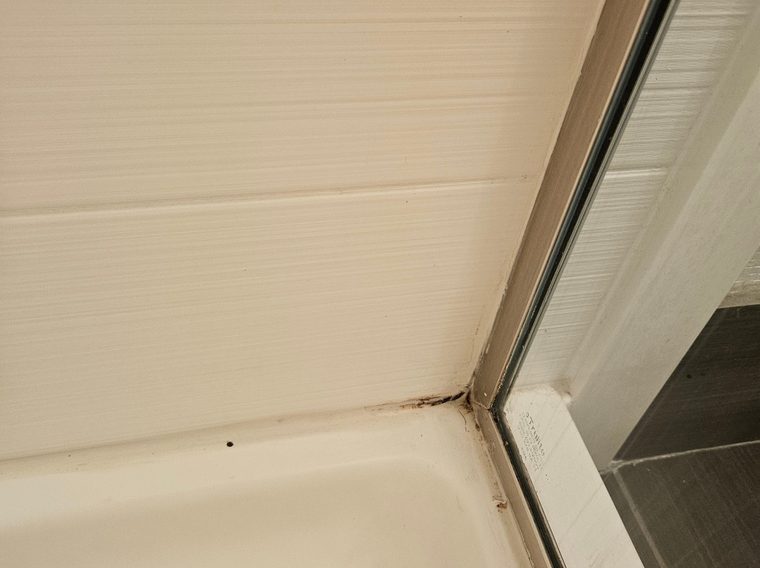 Hilton Garden Inn Denison/Sherman/At Texoma Event Center主图