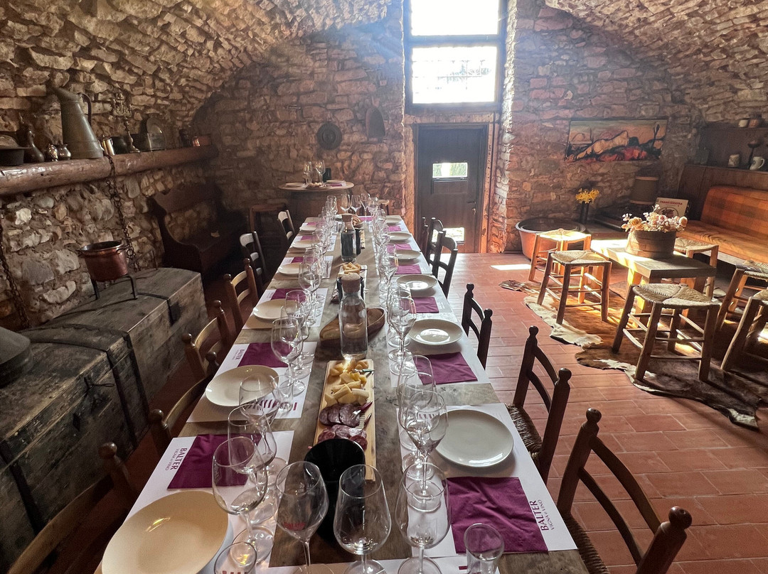 Azienda Agricola Balter景点图片